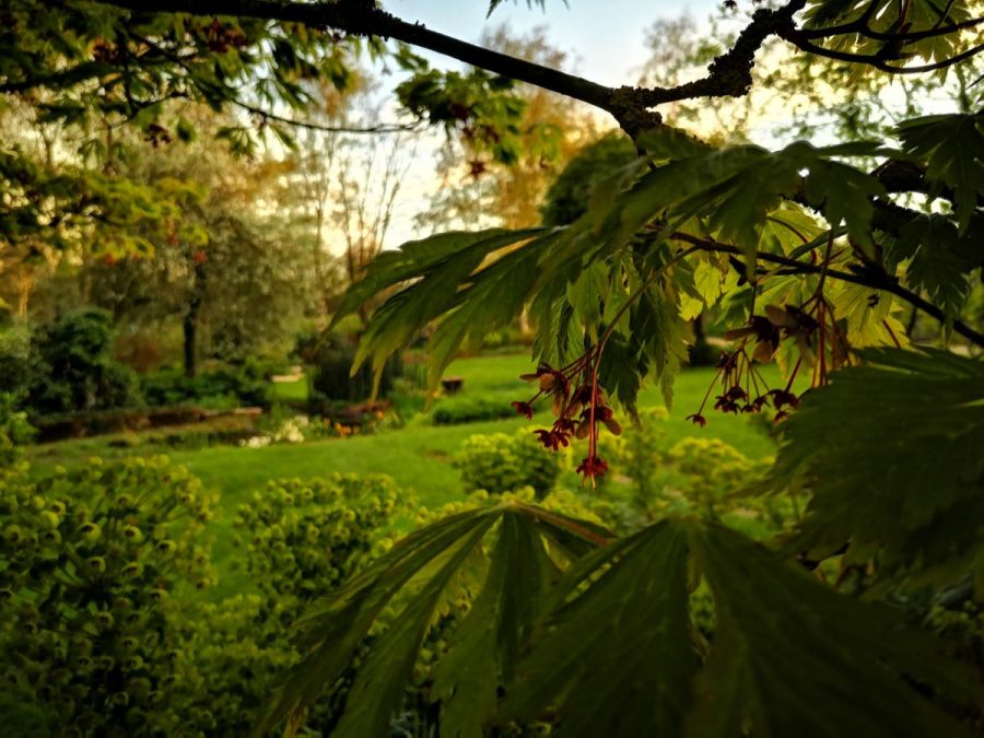 Isigny-le-Buat-Jardin-du-Cassel-5-